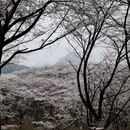 贵阳旅游 缩略图 3