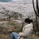 贵阳旅游 缩略图 8