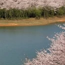 贵阳旅游 缩略图 2