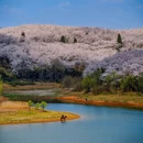 贵阳旅游 缩略图 1