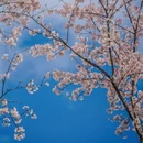 贵阳旅游 缩略图 8