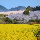 贵阳旅游 缩略图 17