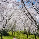 贵阳旅游 缩略图 10