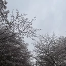 贵阳旅游 缩略图 3