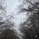 贵阳旅游 缩略图 2
