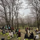 安顺旅游 缩略图 4