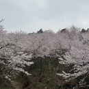 安顺旅游 缩略图 5