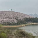 安顺旅游 缩略图 1