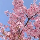 贵阳旅游 缩略图 3