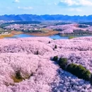贵阳旅游 缩略图 2