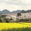安顺旅游 缩略图 1