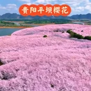 贵阳旅游 缩略图 1