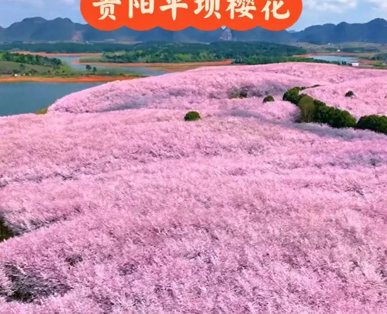 贵阳旅游 1