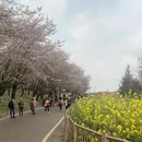 安顺旅游 缩略图 3