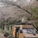 安顺旅游 缩略图 4