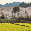 安顺旅游 缩略图 2