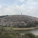 安顺旅游 缩略图 12