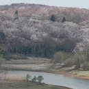 安顺旅游 缩略图 8