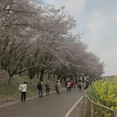 安顺旅游 缩略图 11
