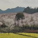 安顺旅游 缩略图 10