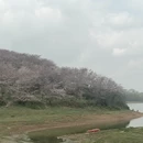 安顺旅游 缩略图 18