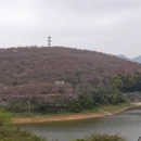 贵阳旅游 缩略图 3