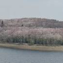 安顺旅游 缩略图 16