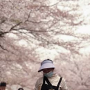 贵阳旅游 缩略图 3