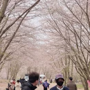 贵阳旅游 缩略图 6