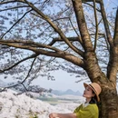 安顺旅游 缩略图 2