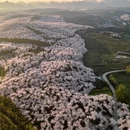 安顺旅游 缩略图 1