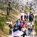 安顺旅游 缩略图 8