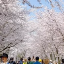 安顺旅游 缩略图 3