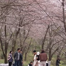 贵阳旅游 缩略图 10