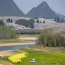 安顺旅游 缩略图 9
