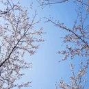 安顺旅游 缩略图 10