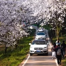安顺旅游 缩略图 12
