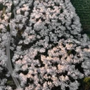 安顺旅游 缩略图 13