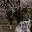 贵阳旅游 缩略图 7