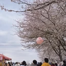 贵阳旅游 缩略图 4