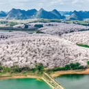 贵阳旅游 缩略图 1