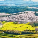 贵阳旅游 缩略图 10