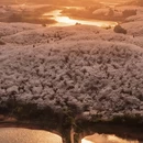 贵阳旅游 缩略图 9