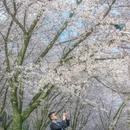 贵阳旅游 缩略图 15