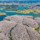 贵阳旅游 缩略图 6