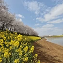 贵阳旅游 缩略图 9