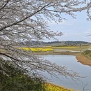 贵阳旅游 缩略图 10