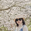 贵阳旅游 缩略图 15