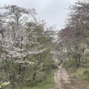 贵阳旅游 缩略图 2