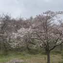 贵阳旅游 缩略图 1